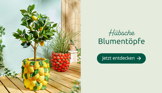 Blumentöpfe