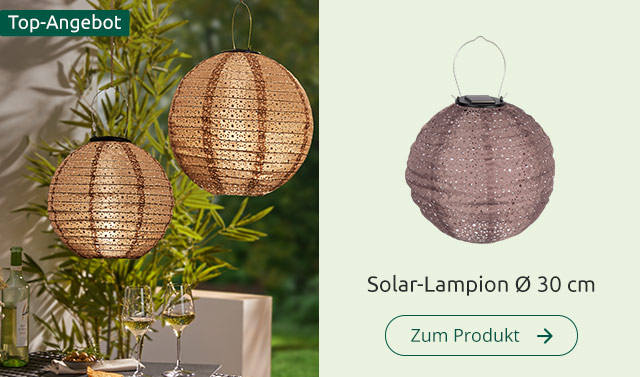 Solar-Lampion