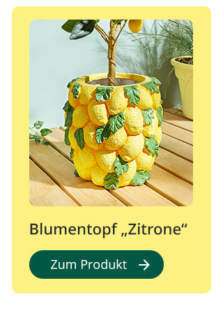 Blumentopf „Zitrone''