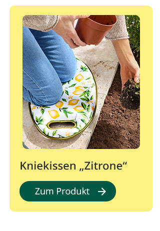 Kniekissen „Zitrone''