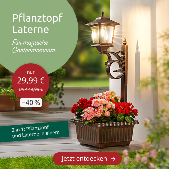 Pflanztopf Laterne