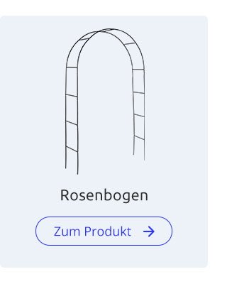 Rosenbogen