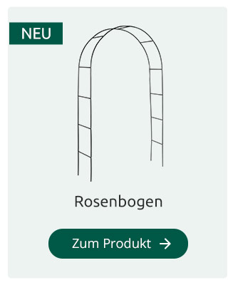 Rosenbogen