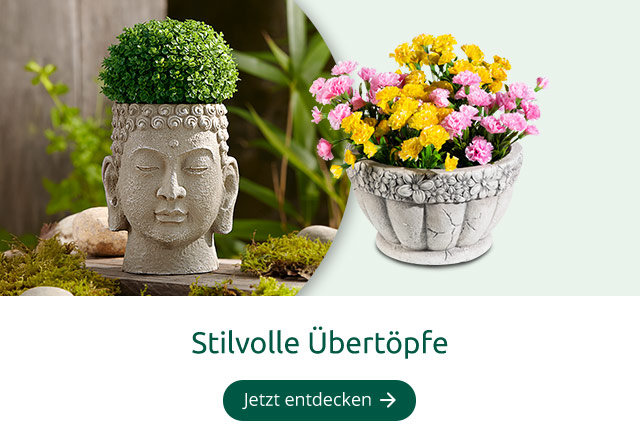 Stilvolle Übertöpfe