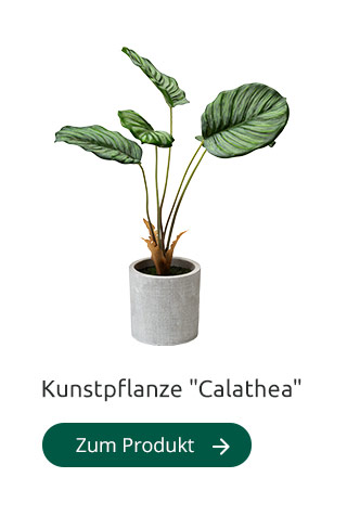 Kunstpflanze ''Calathea''