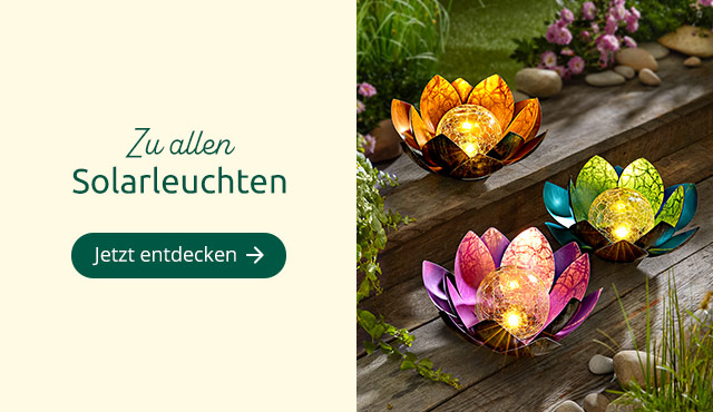 Zu allen Solarleuchten