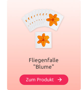 Fliegenfalle 