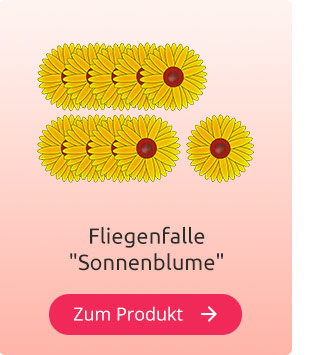 Fliegenfalle 