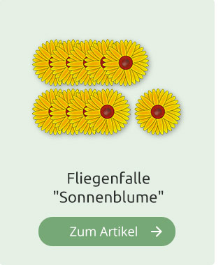 Fliegenfalle 
