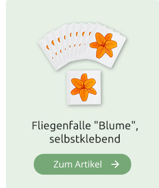 Fliegenfalle 