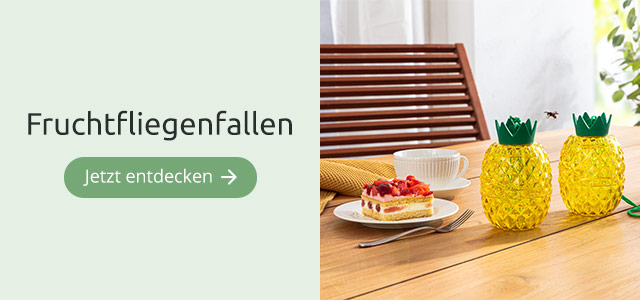 Fruchtfliegenfallen