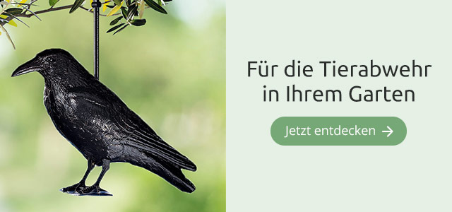 Tierabwehr Garten