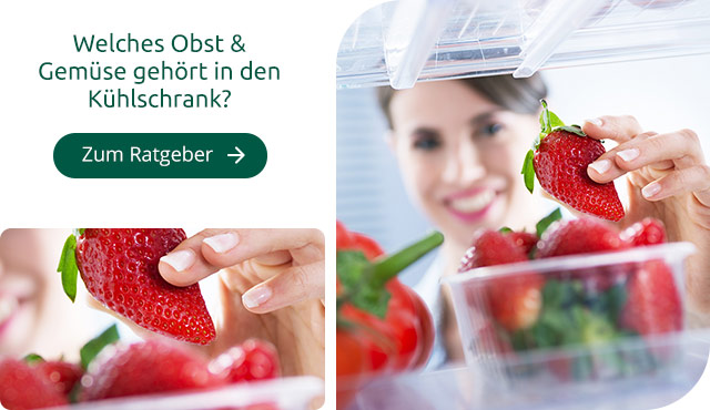 Kühlschrank-Ratgeber