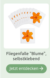 Fliegenfalle 