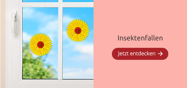 Insektenfallen
