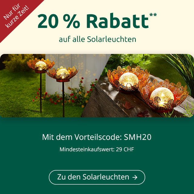 20 % Rabatt auf alle Solarleuchten**