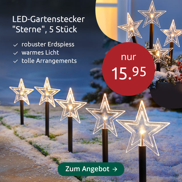 LED-Gartenstecker ''Sterne'', 5 Stück