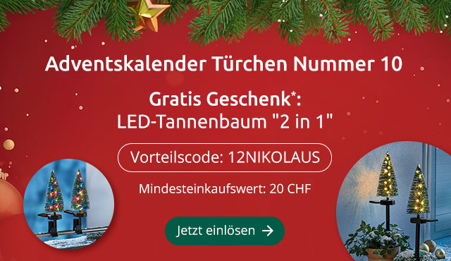 Adventskalender Türchen Nummer 10