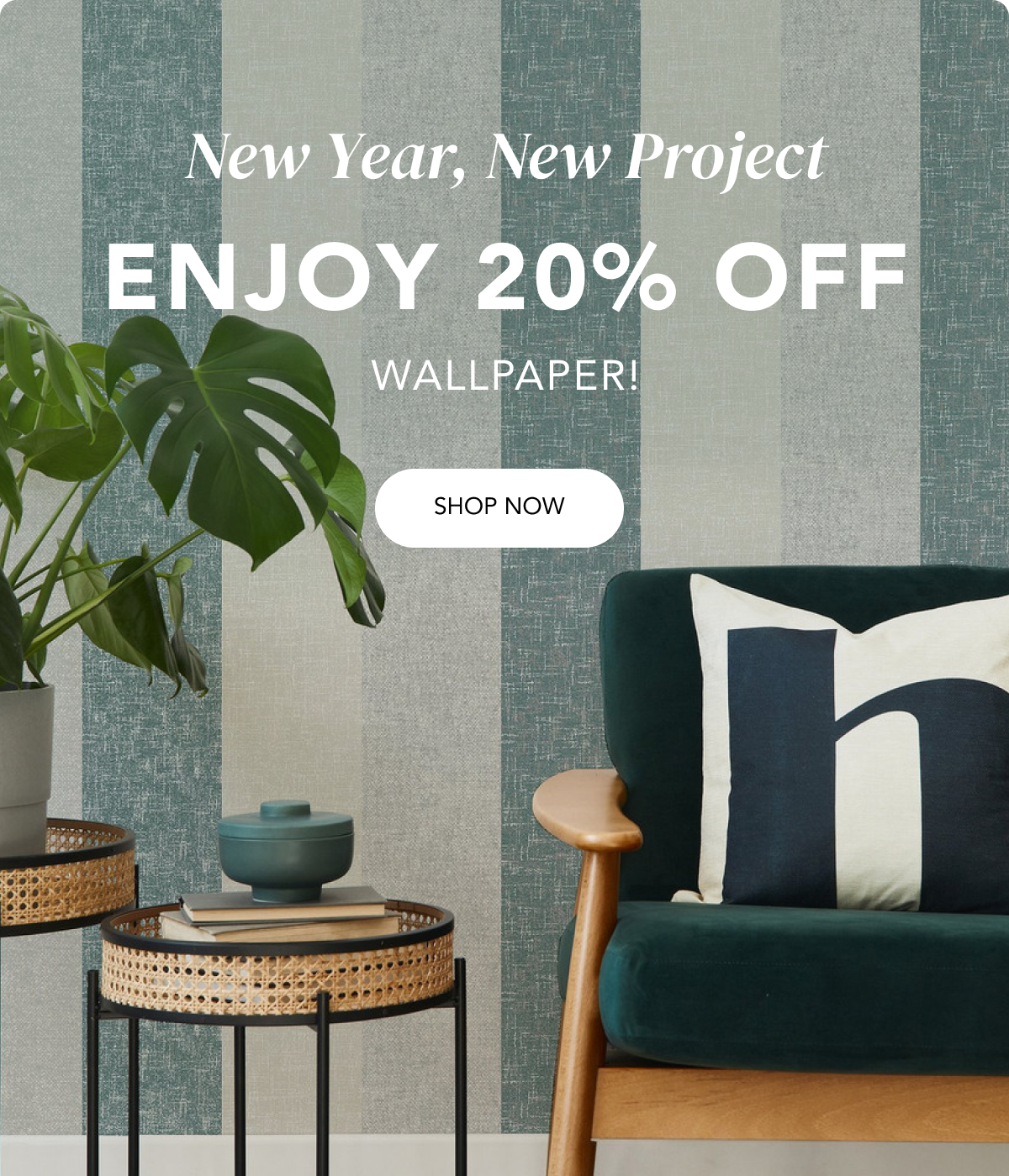 New Year, New Project! Enjoy 20% off wallpaper! 