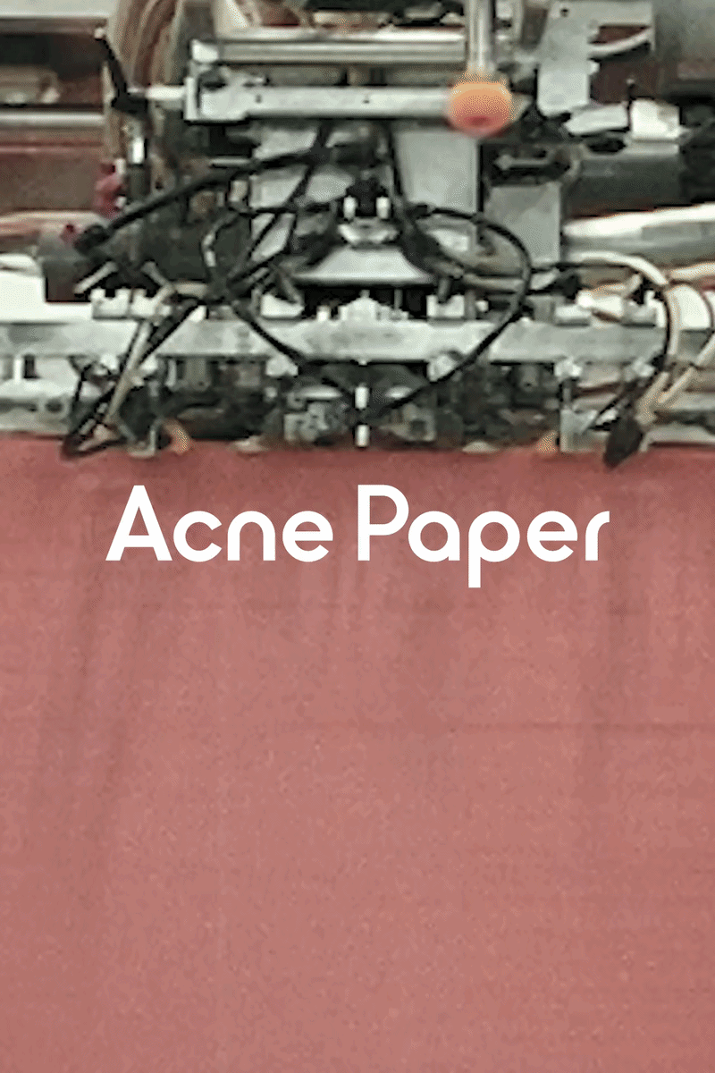 Acne Paper Issue 21