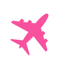 Plane Icon