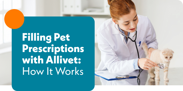 Filling Pet Prescriptions with Allivet: How It Works