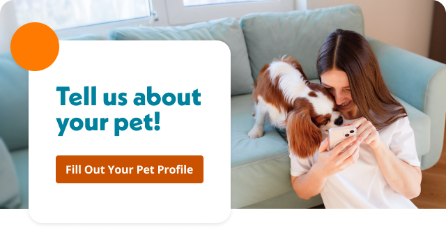 Add Important Info to Your Pet’s Profile