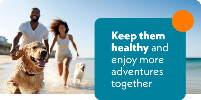 Keep them healthy and enjoy more adventures together