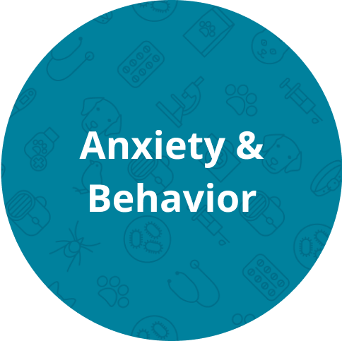 Anxiety and Behavior
