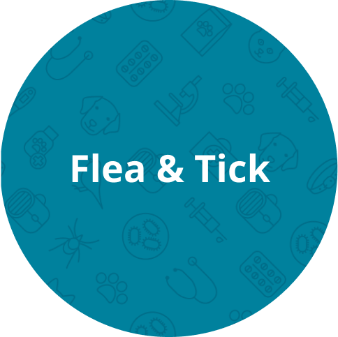 Flea and Tick