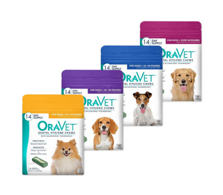 20%* Off. Final Price in Cart of OraVet. Shop Now.