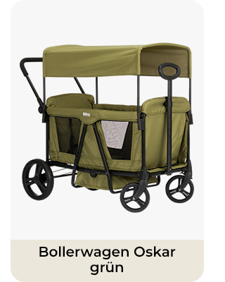 Bollerwagen Oskar grün