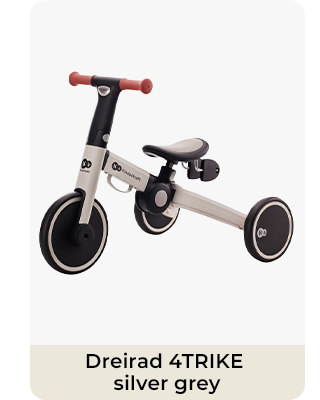 Kinderkraft Dreirad 4TRIKE silver grey