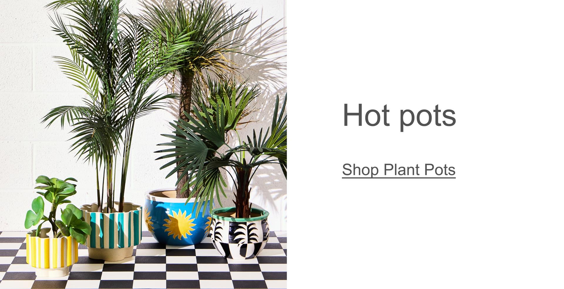 Plant Pots