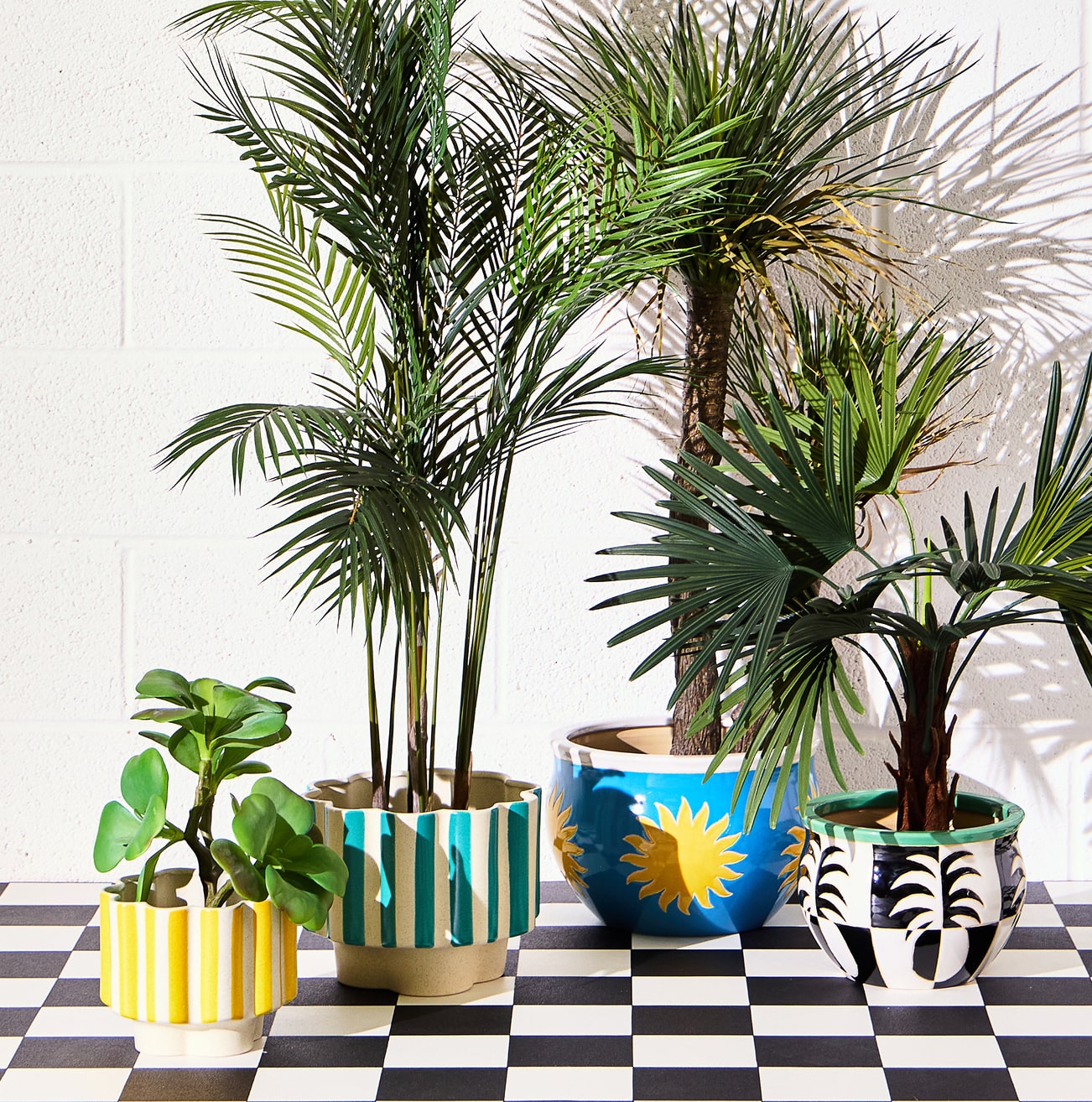 Plant Pots