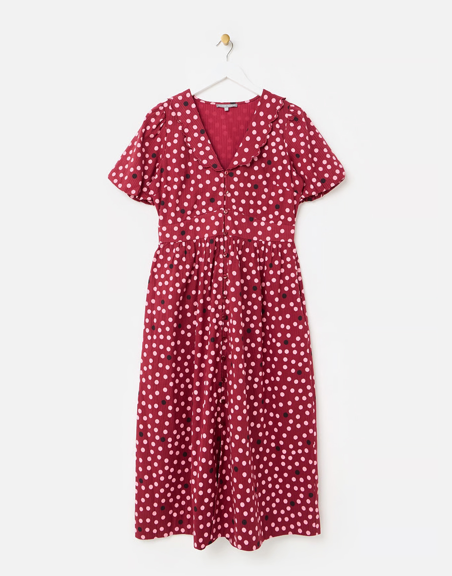 Burgundy & Light Pink Polka Dot Scalloped Collar Midi Dress
