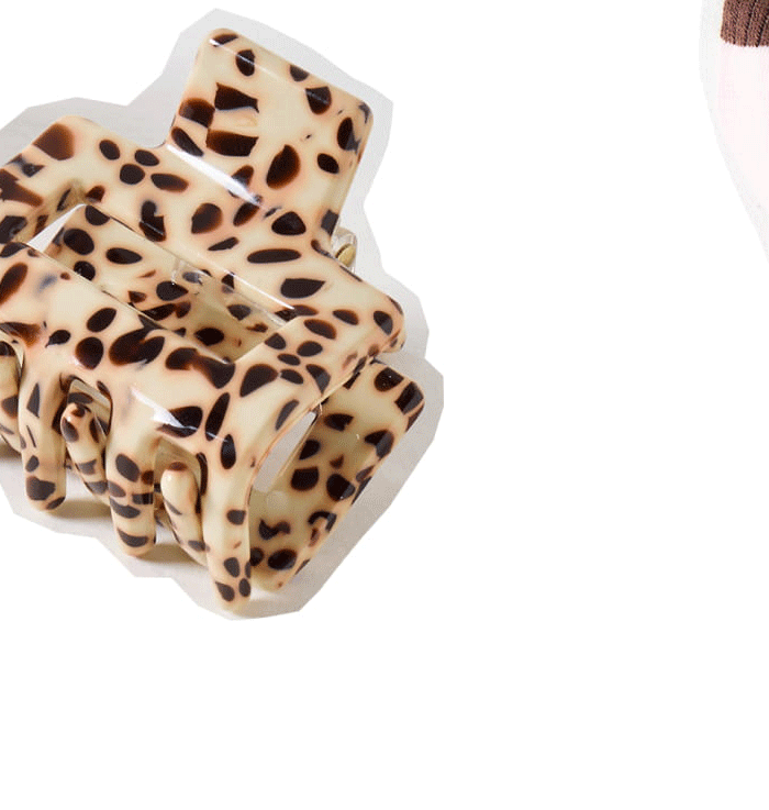 Posie Leopard & Brown Mini Claw Clips Set of Two
