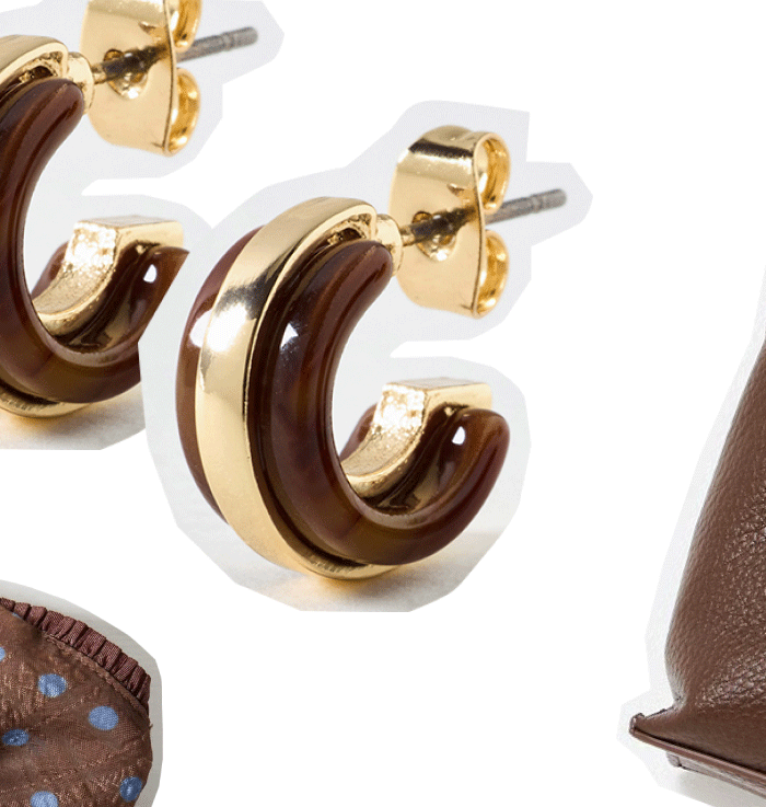 Emilia Brown & Gold Tone Resin Hoop Earrings