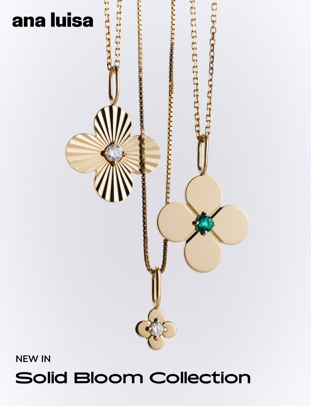 Solid Bloom Collection