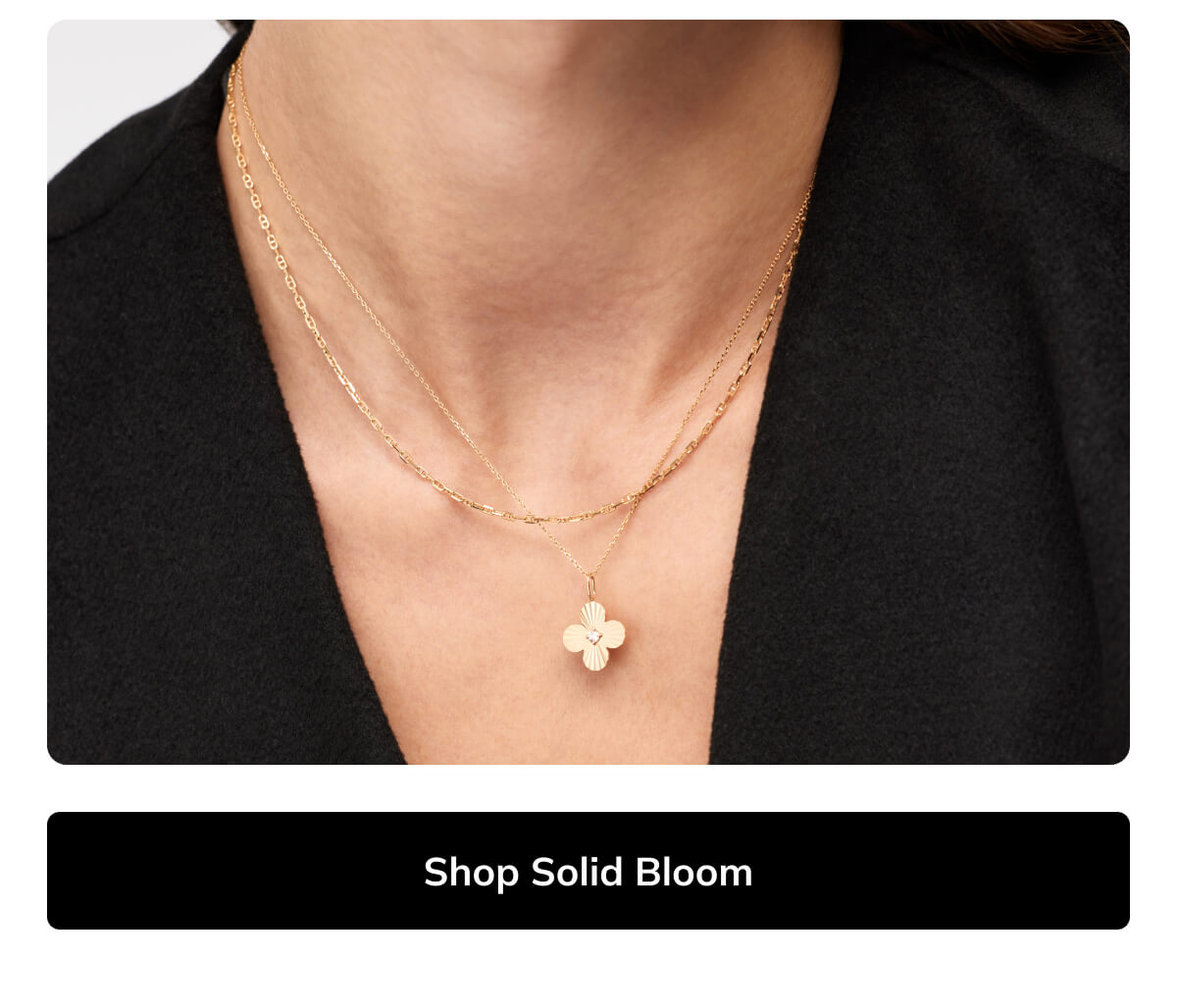 Shop Solid Bloom