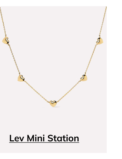 Lev Mini Station