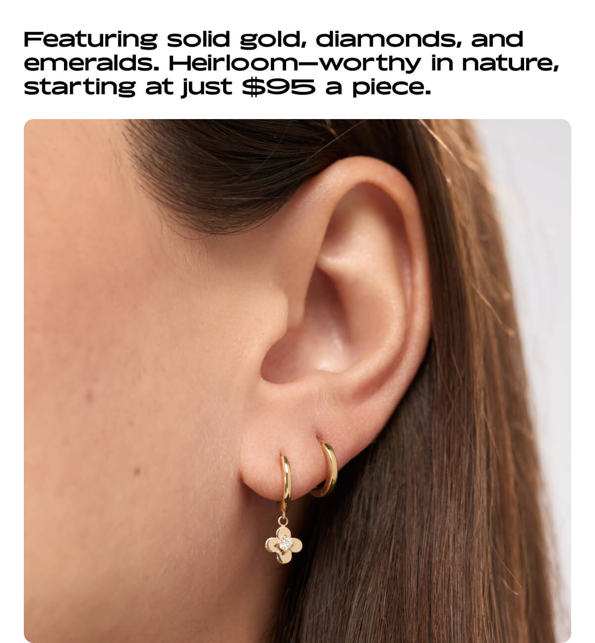 Shop Solid Bloom Collection