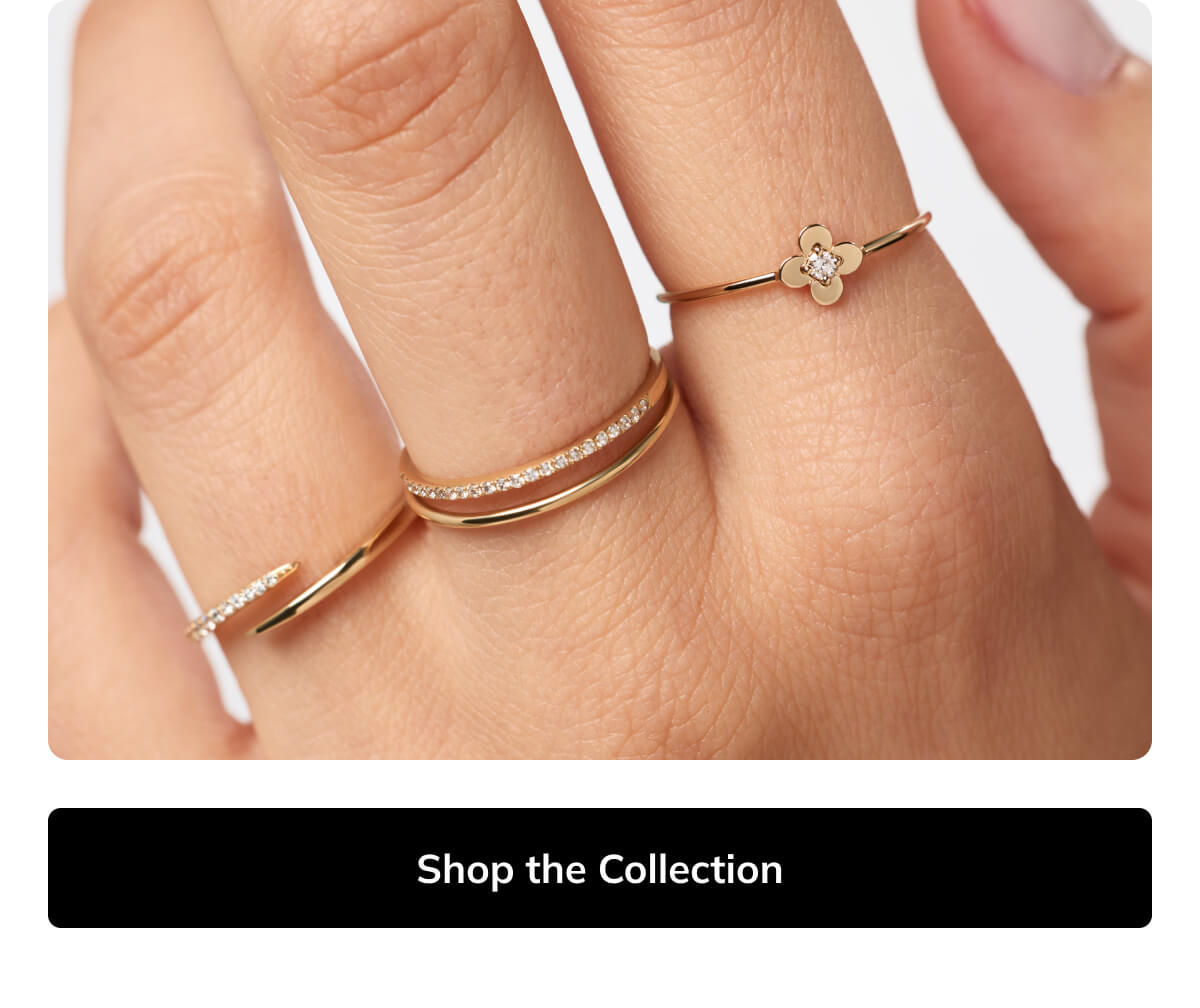 Shop Solid Bloom Collection