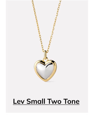 Lev Small Two Tone