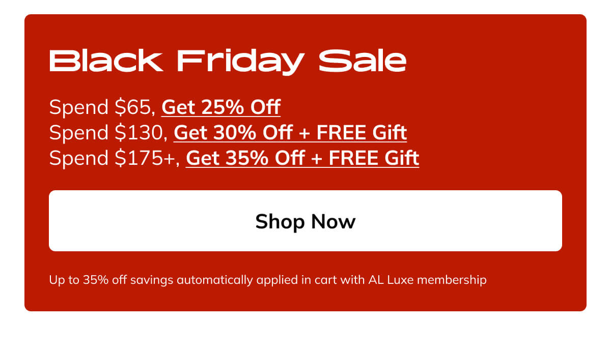 Black Friday Sale