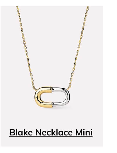 Blake Necklace Mini