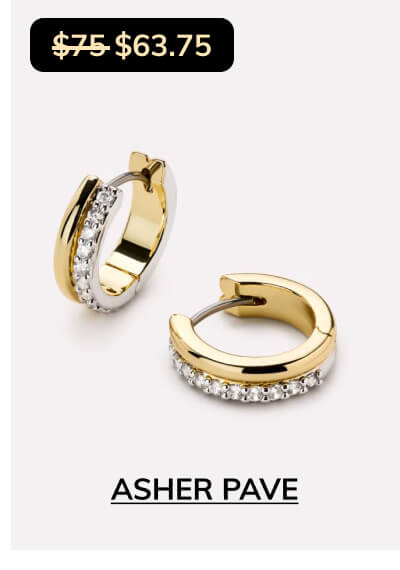 Asher Pave