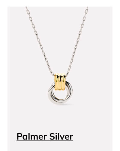 Palmer Silver