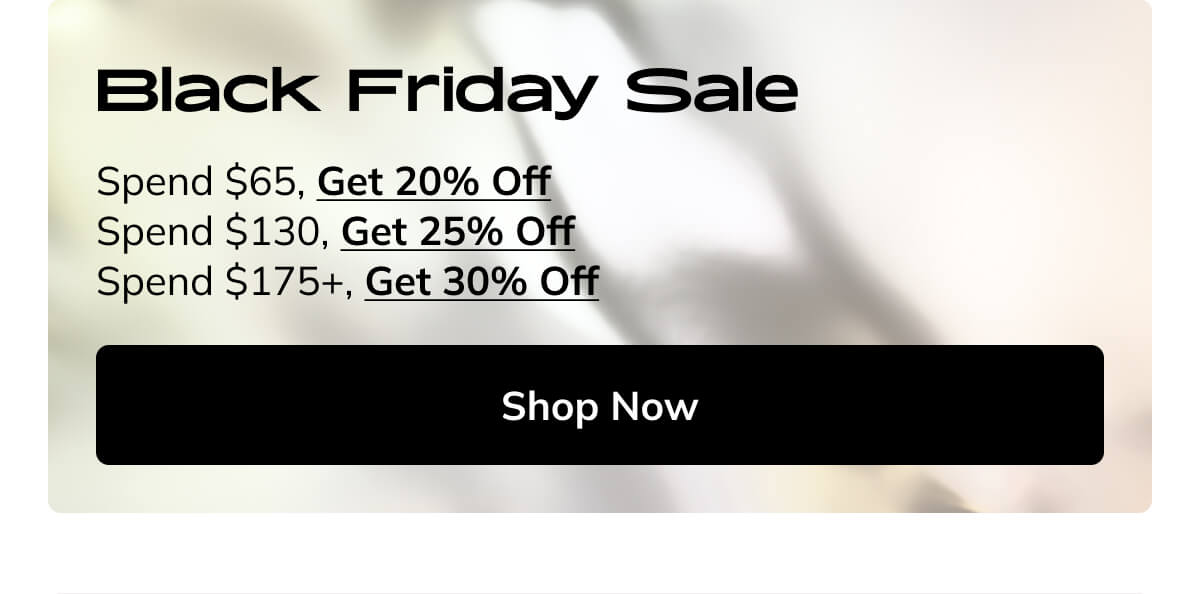 Black Friday Sale