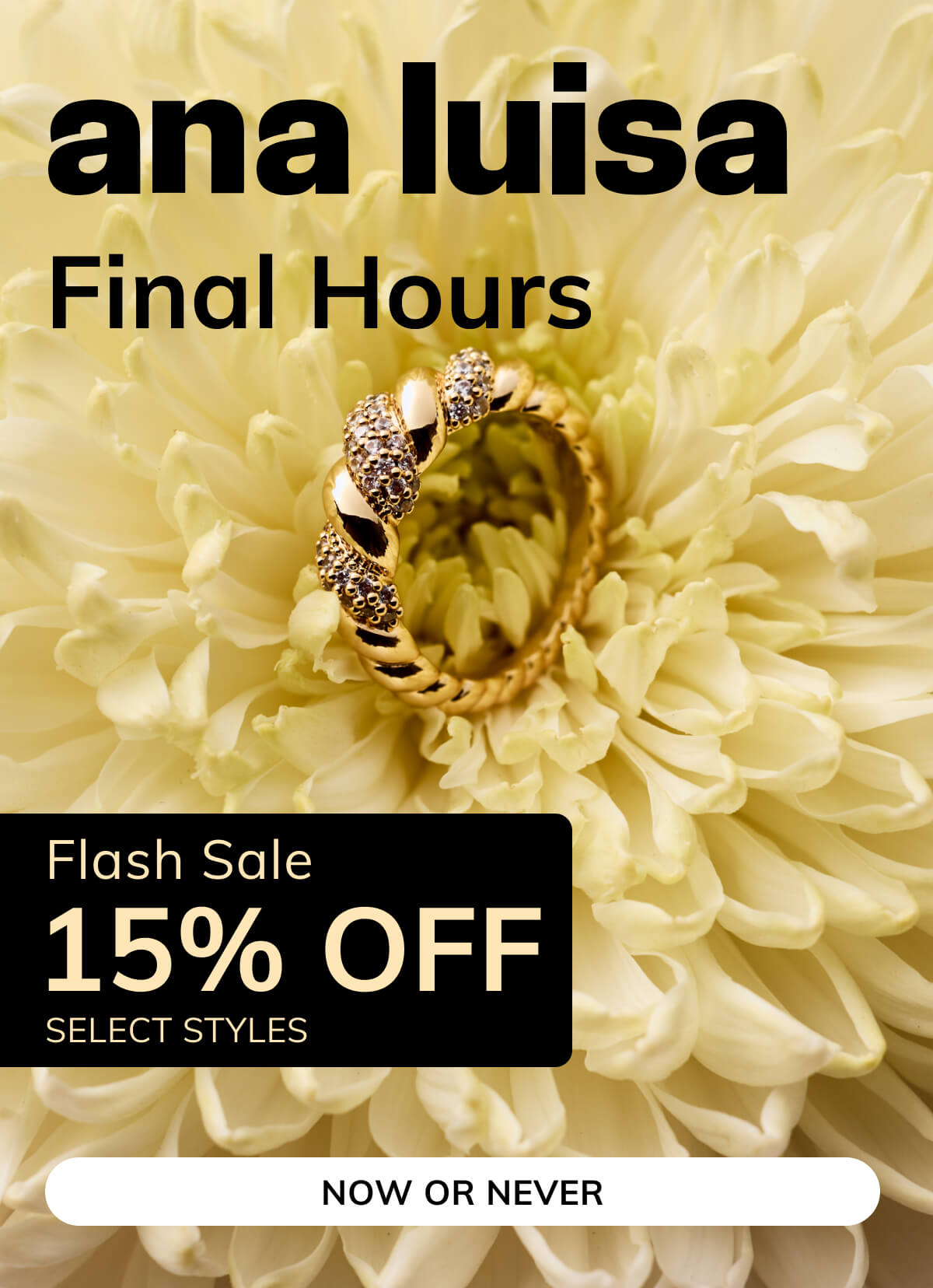 Memorial Day Sale - Final hours